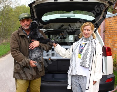 Новые владельцы